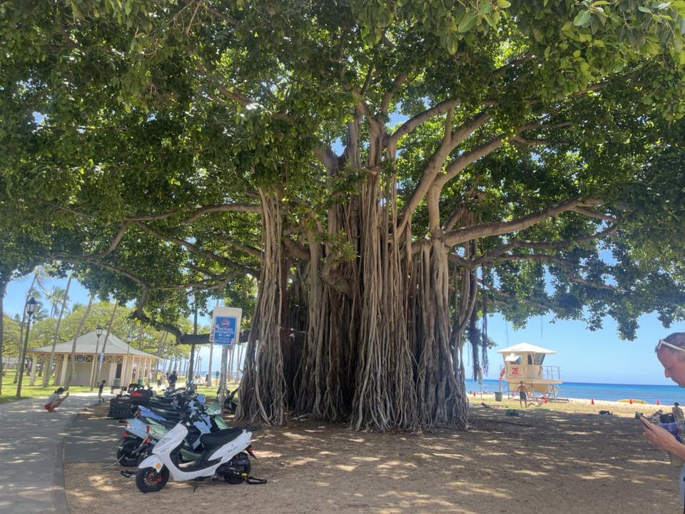 Waikiki, HI