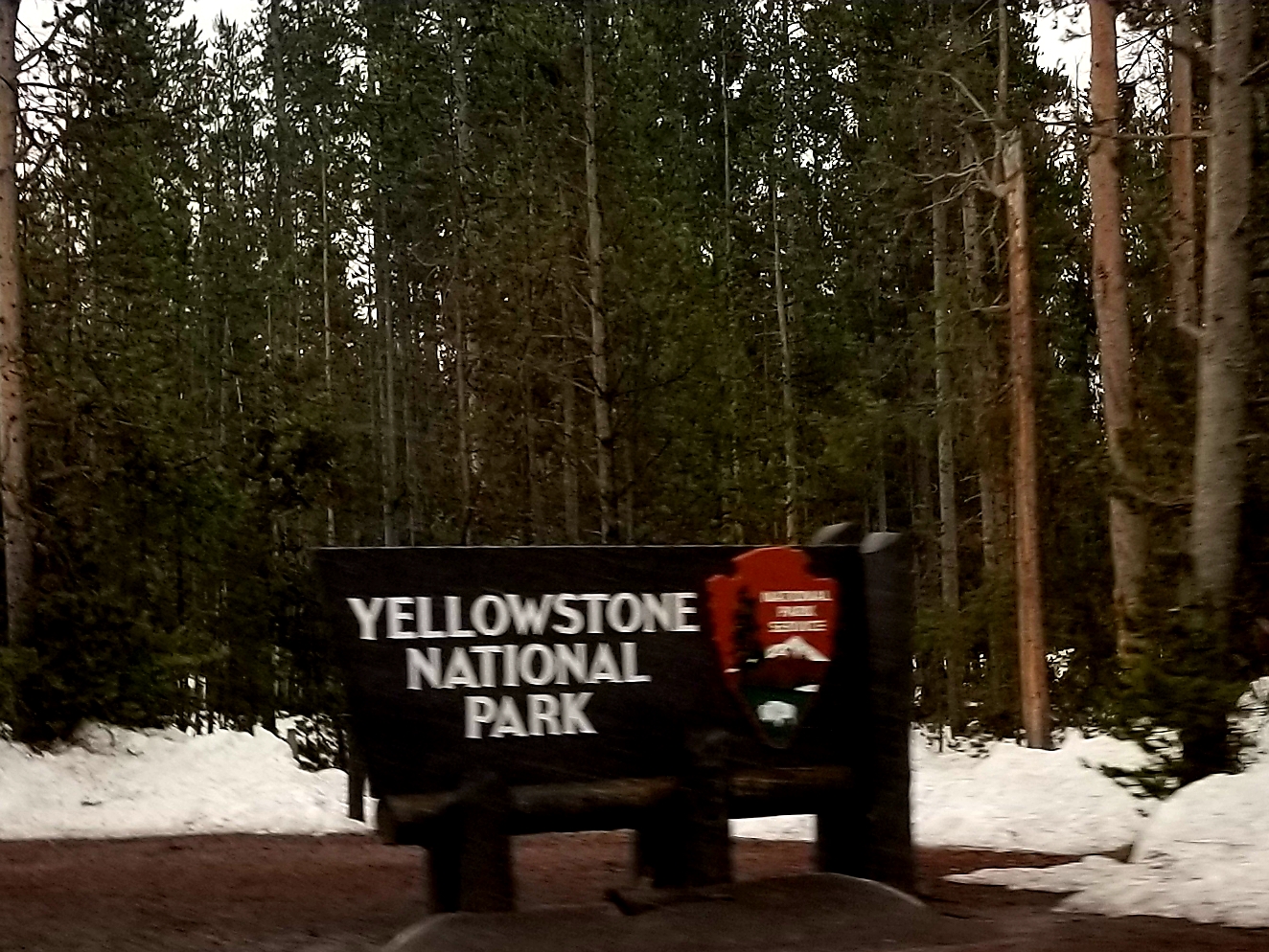 Exploring Yellowstone: Two Unique Takes on the National Park Experience