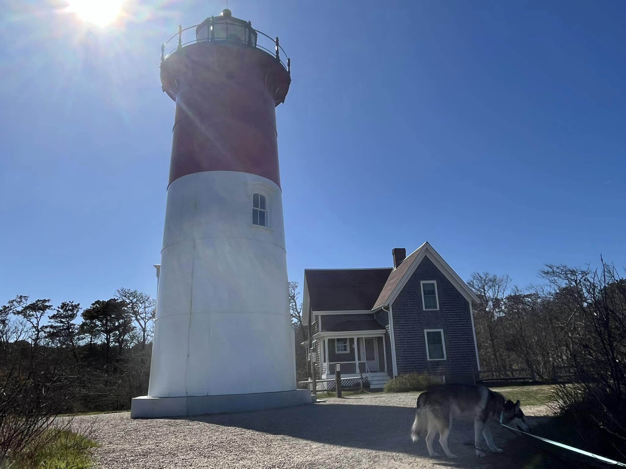 Double Take Massachusetts: Lobster Rolls, Landmarks & Local Charm
