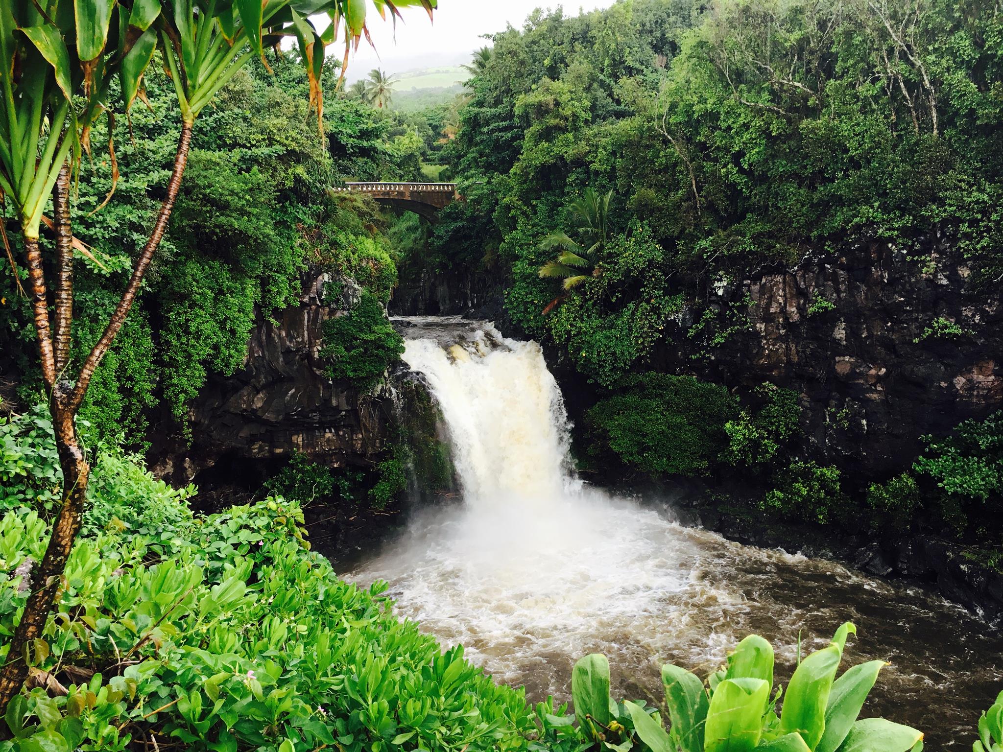 From Keiki to Cocktails: Two Takes on Maui, Hawaii