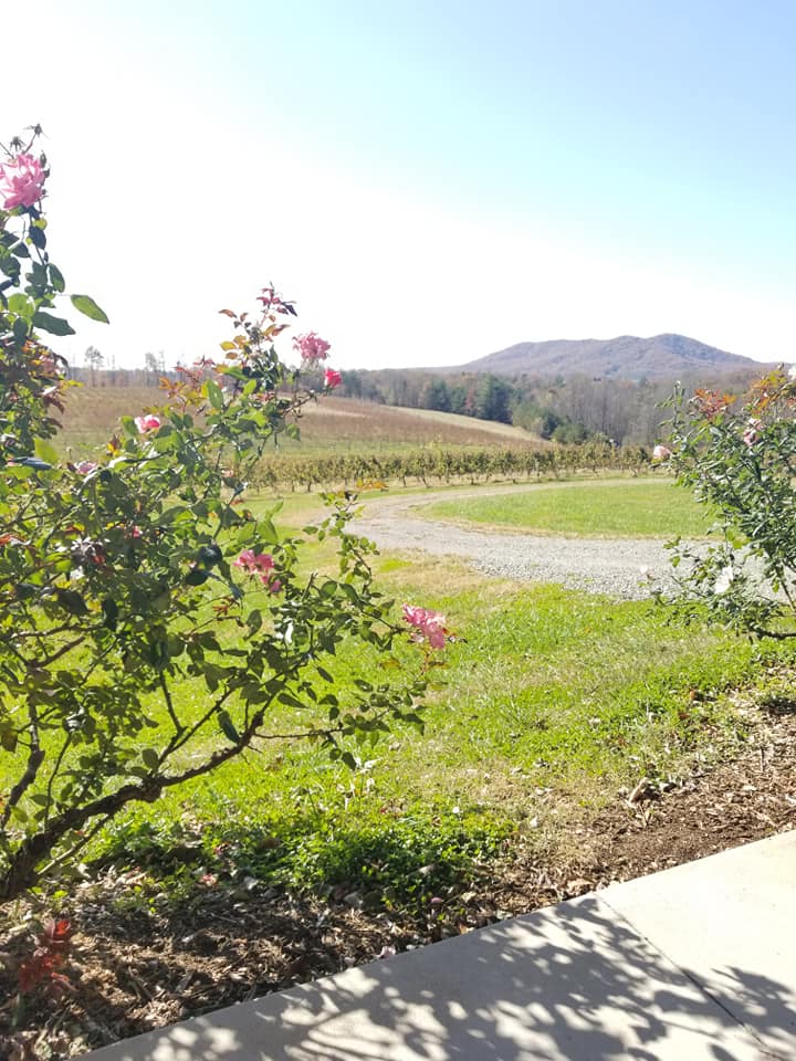 A Taste of the North Carolina’s Triad:   Greensboro, Winston-Salem, Highpoint and Rolling Vineyards